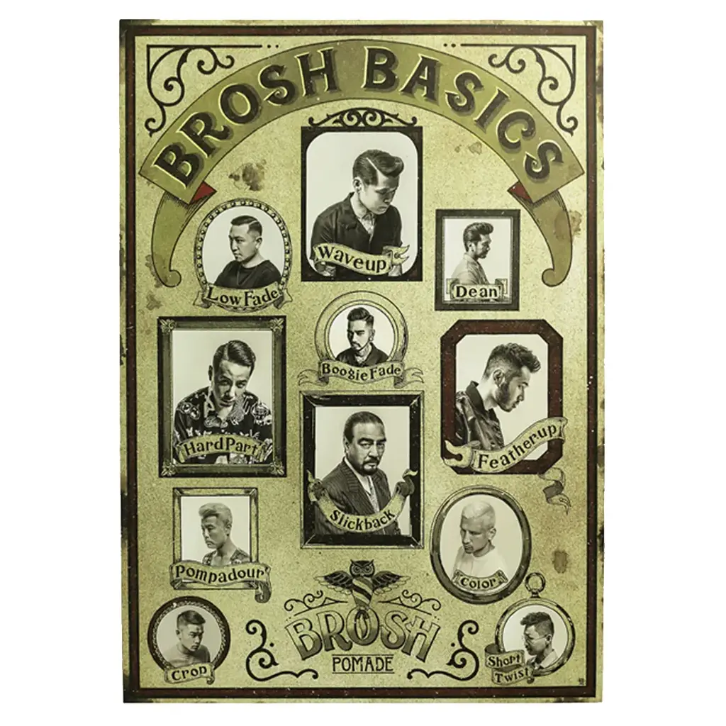 Brosh Basics Poster