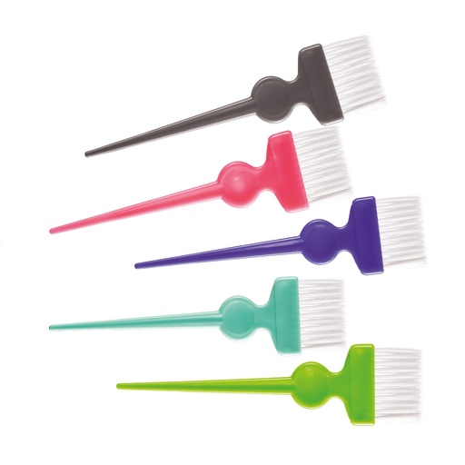 [600220] Haircare Verfkwast Set Gekleurd 5 Stuks