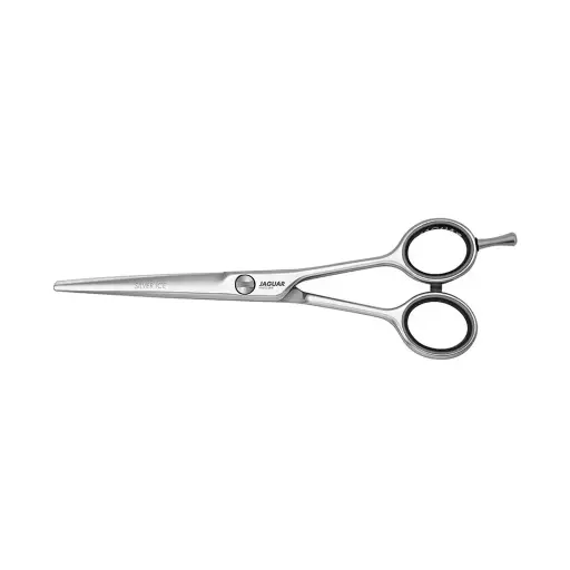 Jaguar White Line Silver Ice Knipschaar